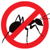 Ant Control Lismore