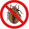 Bed Bugs Control Lismore