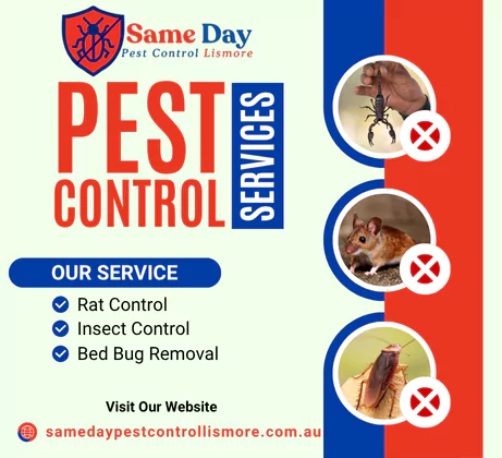 Lismore Pest Control