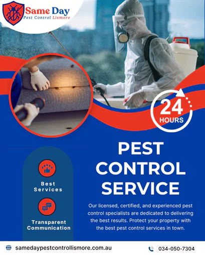 Pest Control Services Lismore